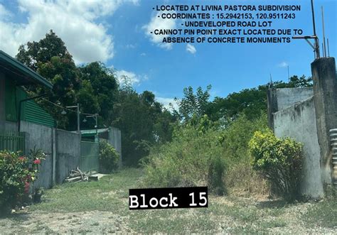 Properties For Sale in Santo Cristo Norte, Gapan .